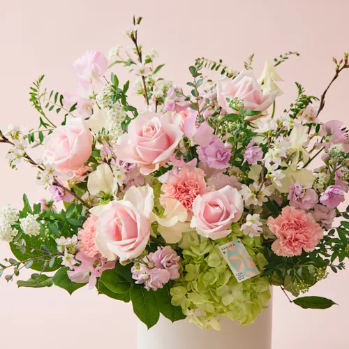 青山フラワーマーケット｜3.27さくらの日 | 青山フラワーマーケット