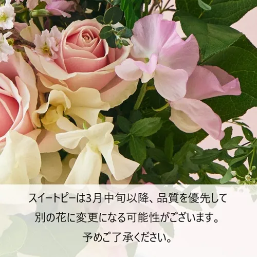 2/1～3/31到着】おうちでお花見できるそのまま飾れるアレンジ 桜ギフト