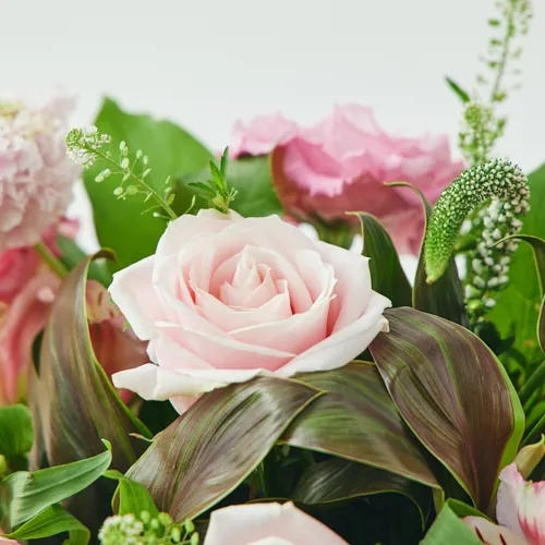 3/1～4/30到着】オリジナルフラワーベース付き カラードブーケ（ペシュ