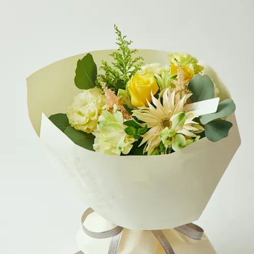 3/1～4/30到着】麗らかな春の訪れを感じる、ボリューム溢れるイエロー