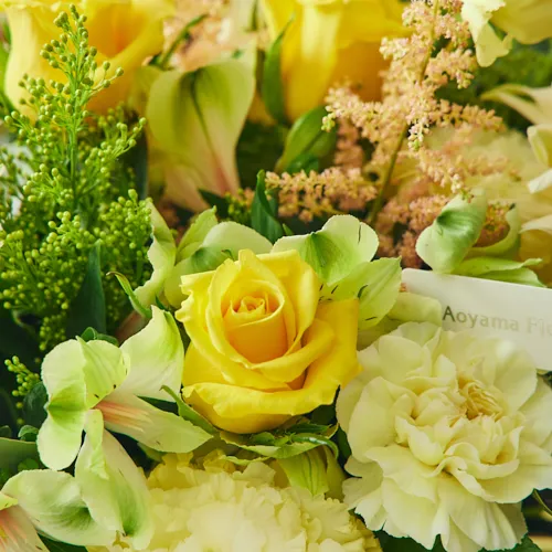 3/1～4/30到着】両手いっぱいに花束を抱える幸せ カラードブーケ