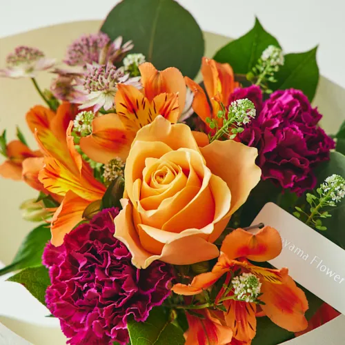 3/1～4/30到着】ヴィヴィットな熟した果実を表現した花々 カラード