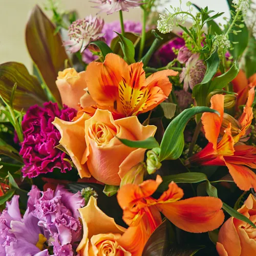 3/1～4/30到着】両手いっぱいに花束を抱える幸せ カラードブーケ