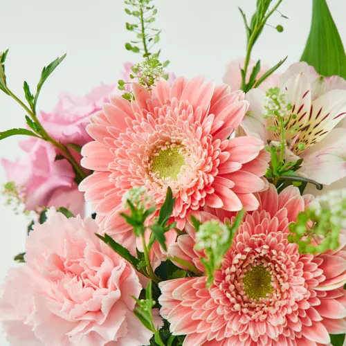 3/1～4/30到着】HAPPY BIRTHDAYが華やかにポップアップ！ バースデー