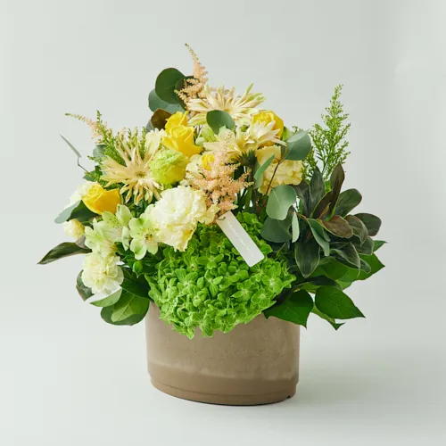 3/1～4/30到着】特別な記念日など大切な方への贈り物に カラード