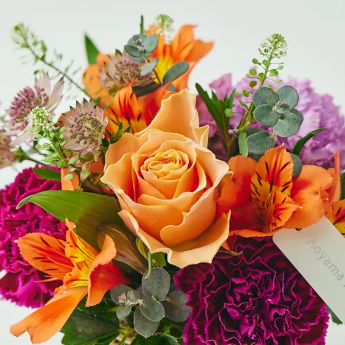 3/1～4/30到着】そのまま飾って楽しめる、華やかなフラワーギフト