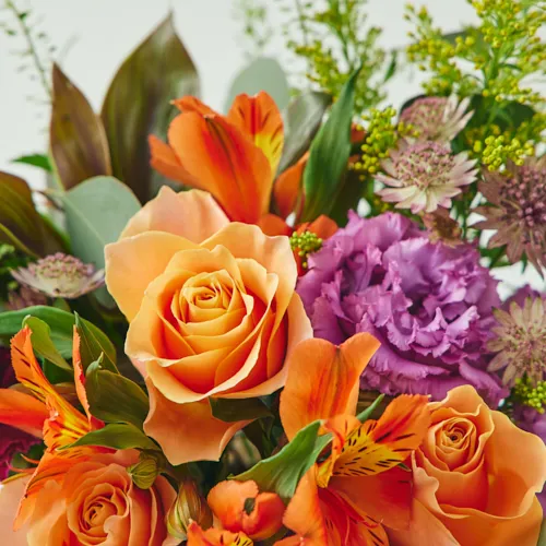 3/1～4/30到着】お祝いやお礼など様々なご用途に カラード