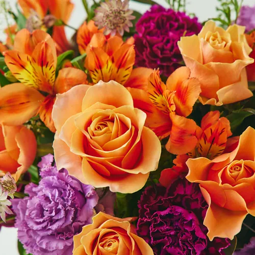 3/1～4/30到着】上品でエレガントなお祝い花 カラードアレンジメント