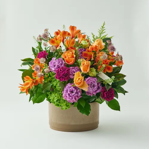 3/1～4/30到着】特別な記念日など大切な方への贈り物に カラード