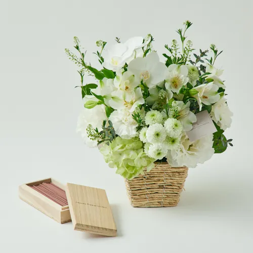 5/19～5/31到着】心安らぐ花の香りのお線香とともにお届け 胡蝶蘭の