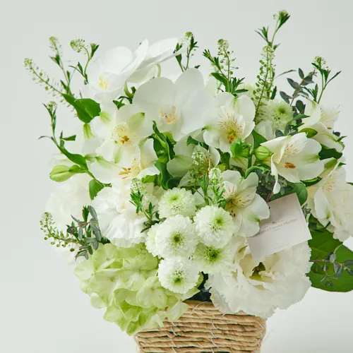 3.17～23 春のお彼岸｜青山フラワーマーケット | 青山フラワー