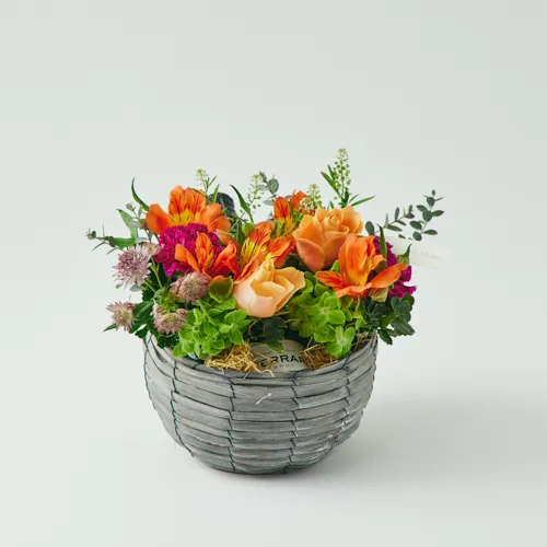 青山フラワーマーケット｜花束・ギフトのオンラインショップ