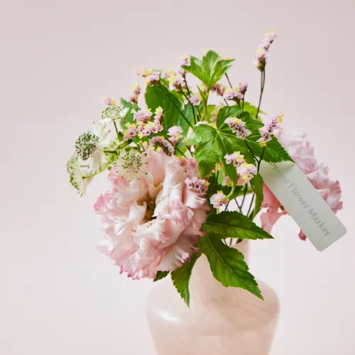 夏のインテリアを彩るベース×ピンクの花々を贈る カラードブーケ