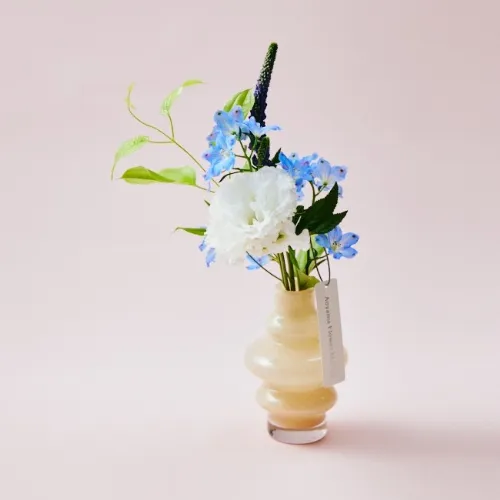 夏のインテリアを彩るベース×初夏の訪れを感じるブルーの花々 カラード