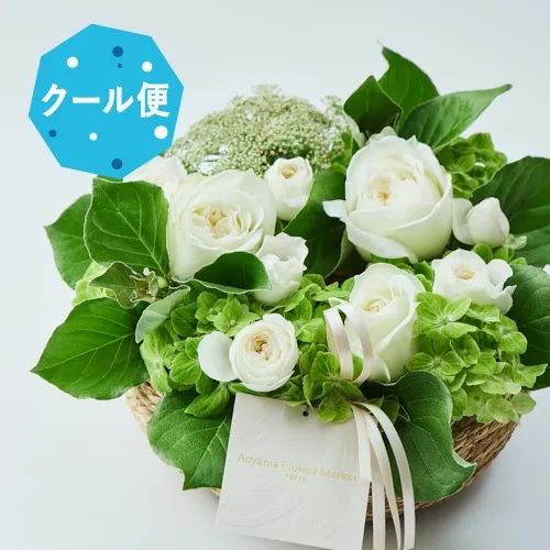 青山フラワーマーケット | 花を色でさがす | 青山フラワーマーケット