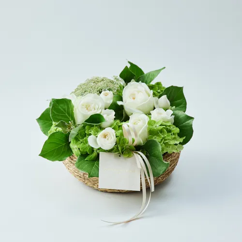 アレンジメント で絞込む | 青山フラワーマーケット｜花束・ギフトの
