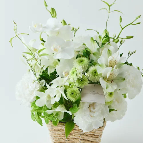 胡蝶蘭と観葉植物のアレンジメント 花のある生活】胡蝶蘭寄せ植え風アレンジ【フラワーアレンジメント