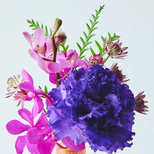 8/1～8/17到着】夏のインテリアを彩るベース×ピンク×紫の花々を贈る