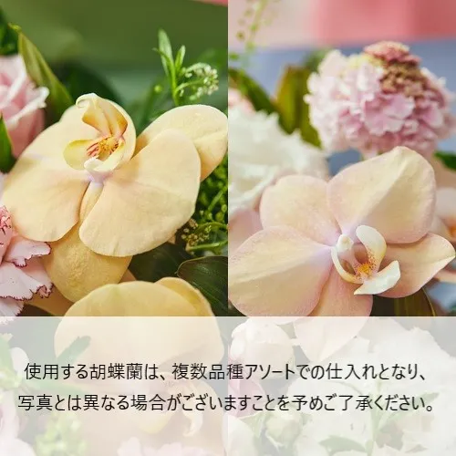 気品あふれる可憐な佇まい 【母の日 -ONLINE限定-】プレミアムブーケ L