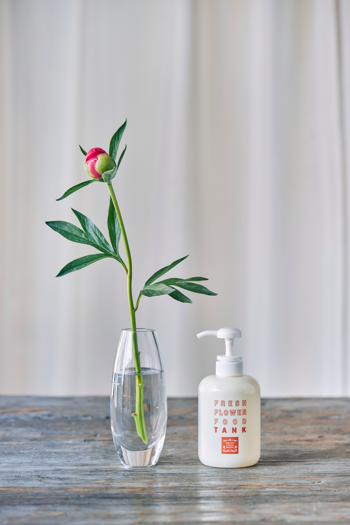 MONTHLY FLOWER「シャクヤク」｜花・フラワーギフトなら青山フラワー