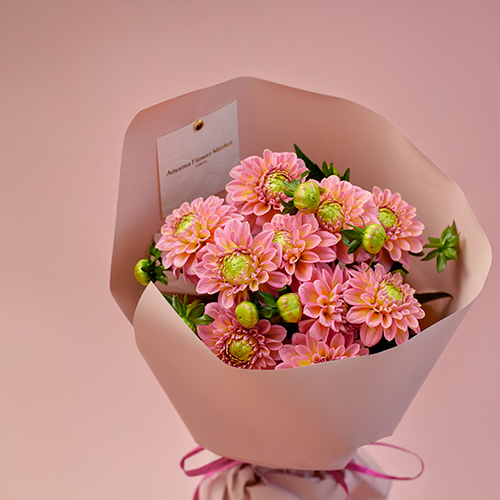 産直】日光園芸のミニダリア「ホットピンクオセロ」Gift Bouquet