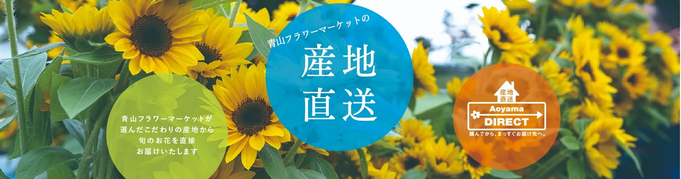青山フラワーマーケット|産地直送の花 | 青山フラワー 青山フラワーマーケット|産地直送の花 | 青山フラワー