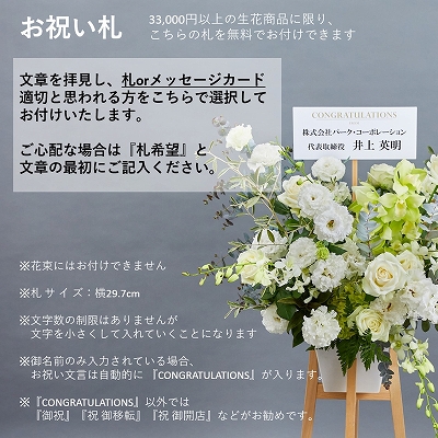 開店・オフィス移転などフォーマルなお祝いに【カラードアレンジメント
