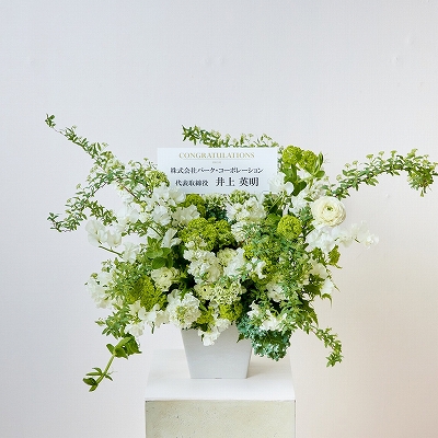 薄黄緑 フラワーアレンジメント ラグジュアリー まりも ルーラル Sサイズ - プリザーブドフラワー 母の日 2025プレゼント