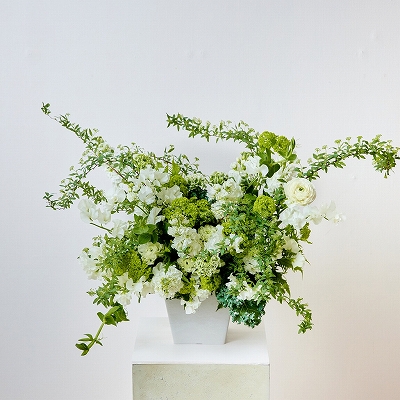 開店・オフィス移転などフォーマルなお祝いに【カラードアレンジメント