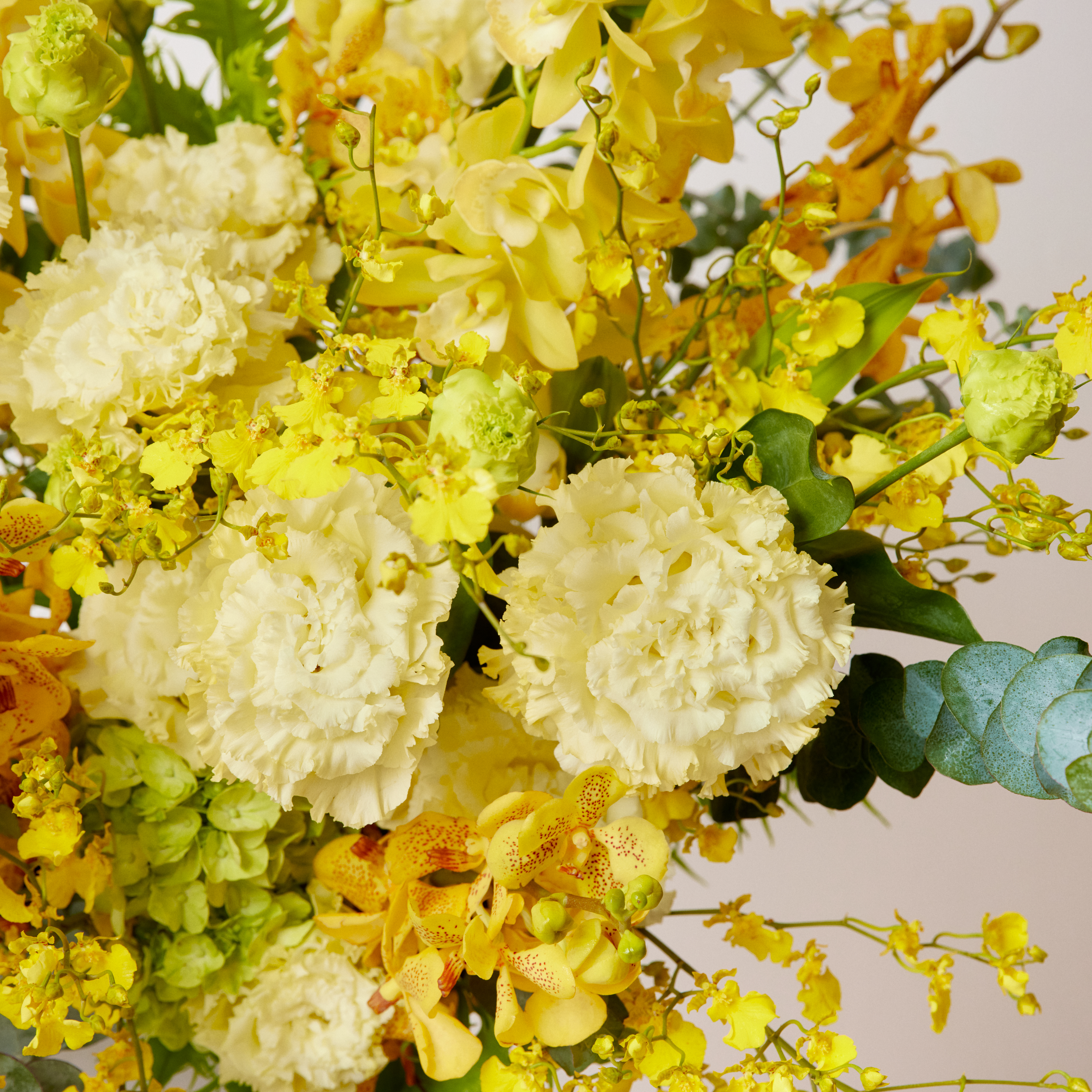 開店・オフィス移転などフォーマルなお祝いに【カラードアレンジメント