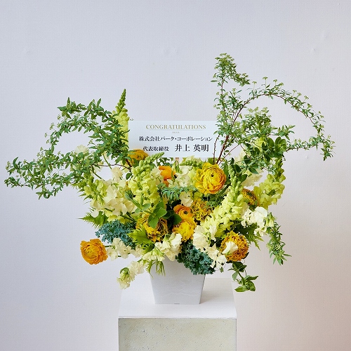 開店・オフィス移転などフォーマルなお祝いに【カラードアレンジメント