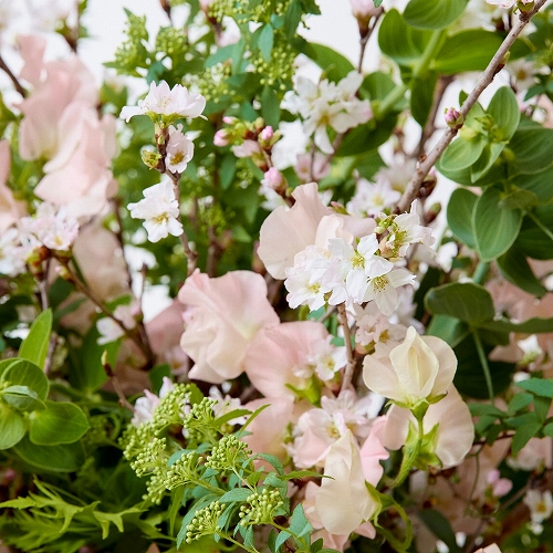 開店・オフィス移転などフォーマルなお祝いに【カラードアレンジメント