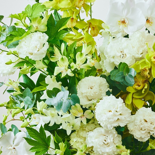 開店・オフィス移転などフォーマルなお祝いに | 青山フラワー