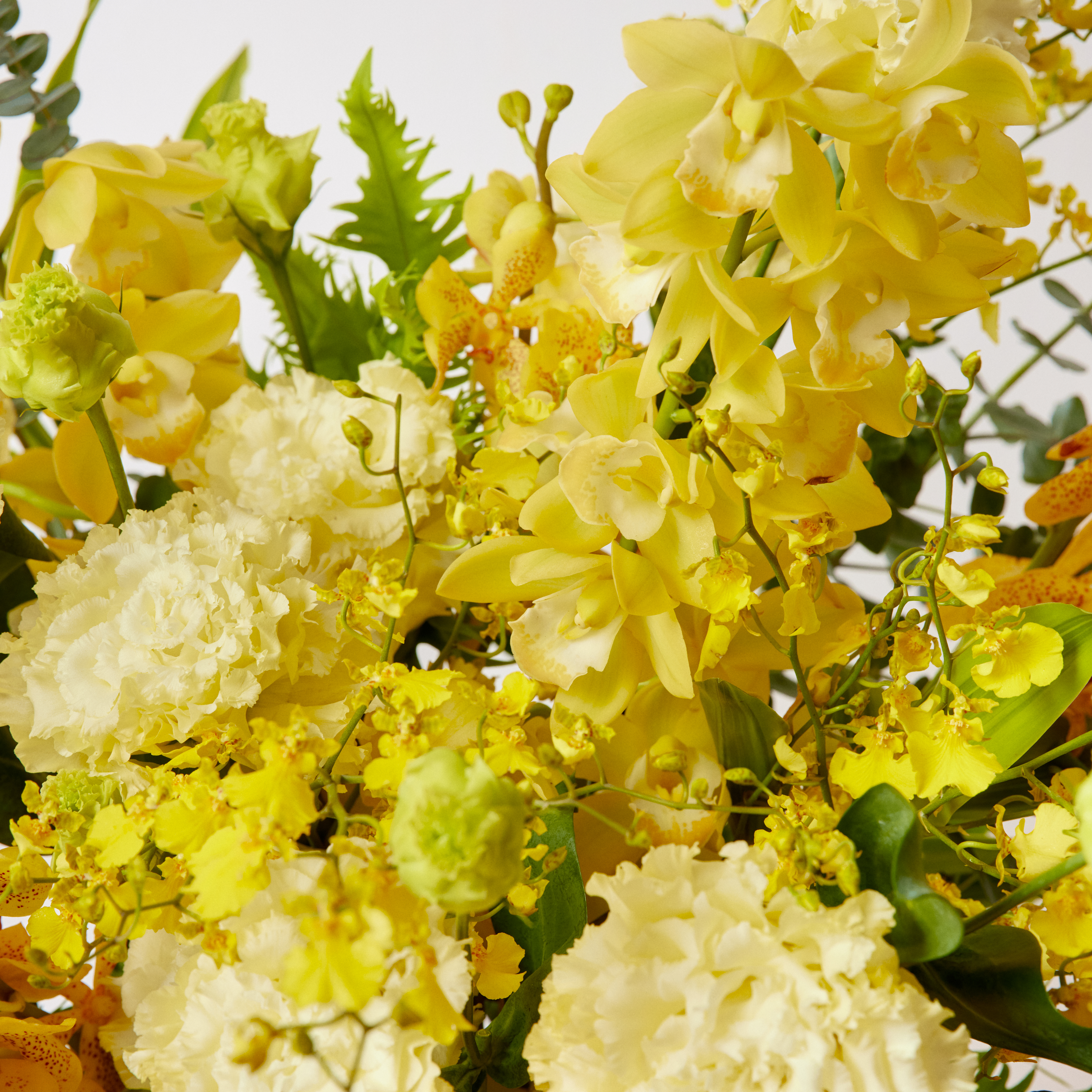 ポテチーノ　ゴミ箱　黄色　お花 ポテチーノ ゴミ箱 黄色 お花