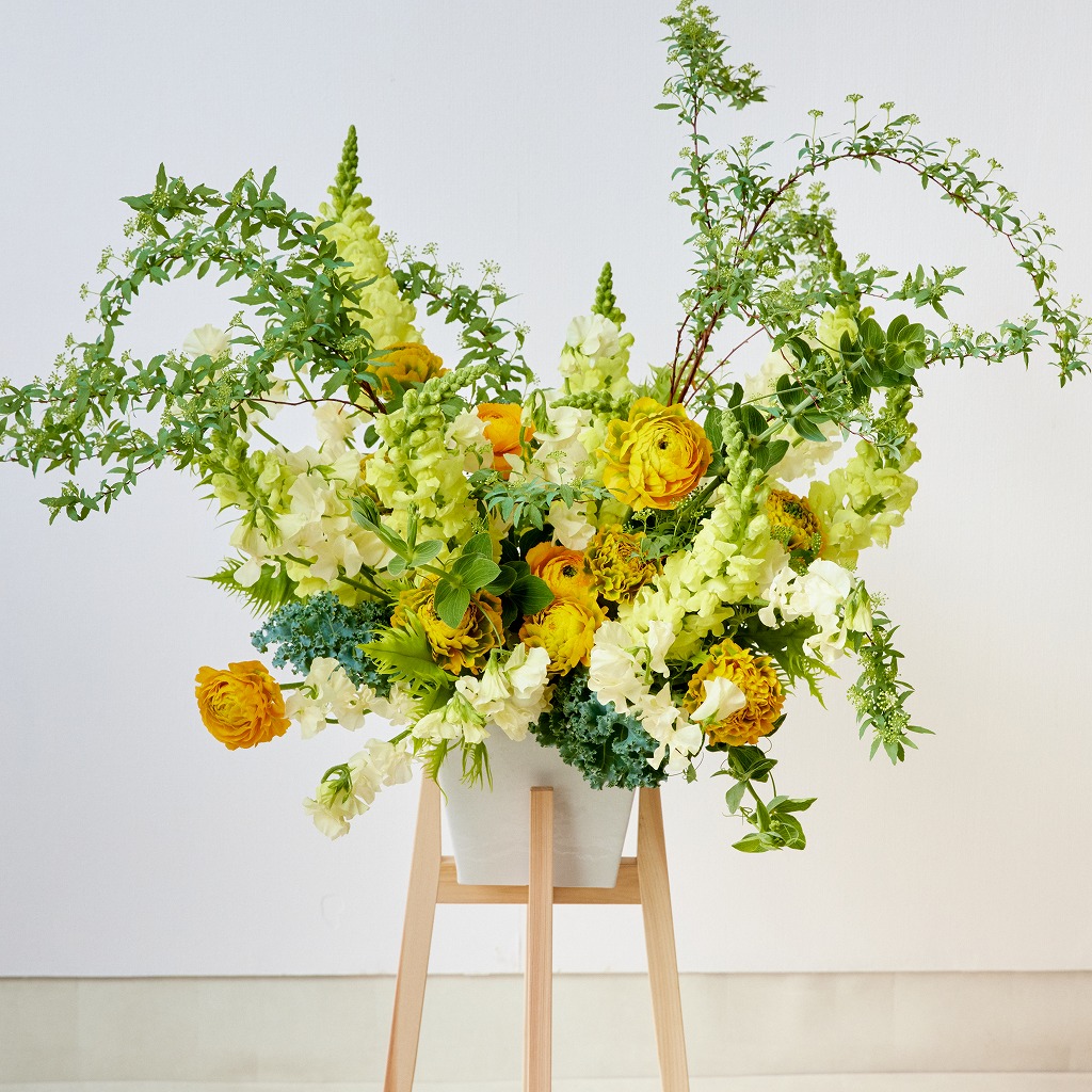 誕生日・記念日・発表会など、お祝いに【ブーケ（ミモザ）】 | 青山