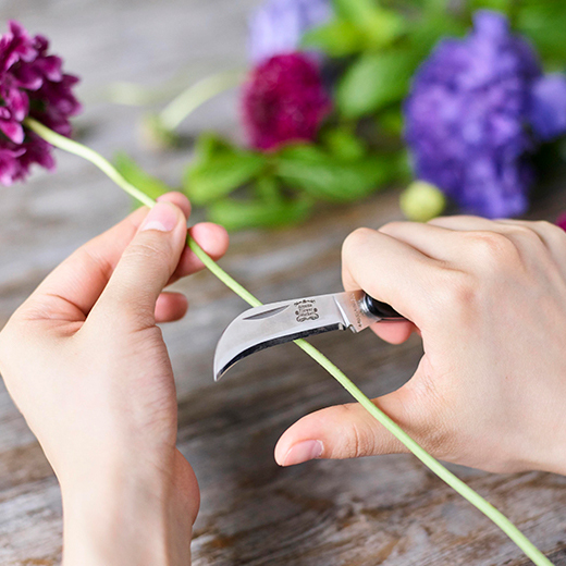 花・フラワーギフトなら青山フラワーマーケット | コラム-長もちの秘訣