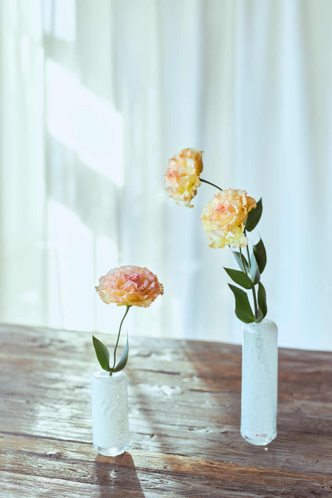 リシアンサスのお手入れ方法 青山フラワーマーケット公式 花屋 花 花束 フラワーギフト 通販