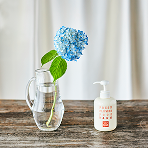 アジサイ 切花 のお手入れ方法 花 フラワーギフトなら青山フラワーマーケット 青山フラワーマーケット公式 花屋 花 花束 フラワーギフト 通販