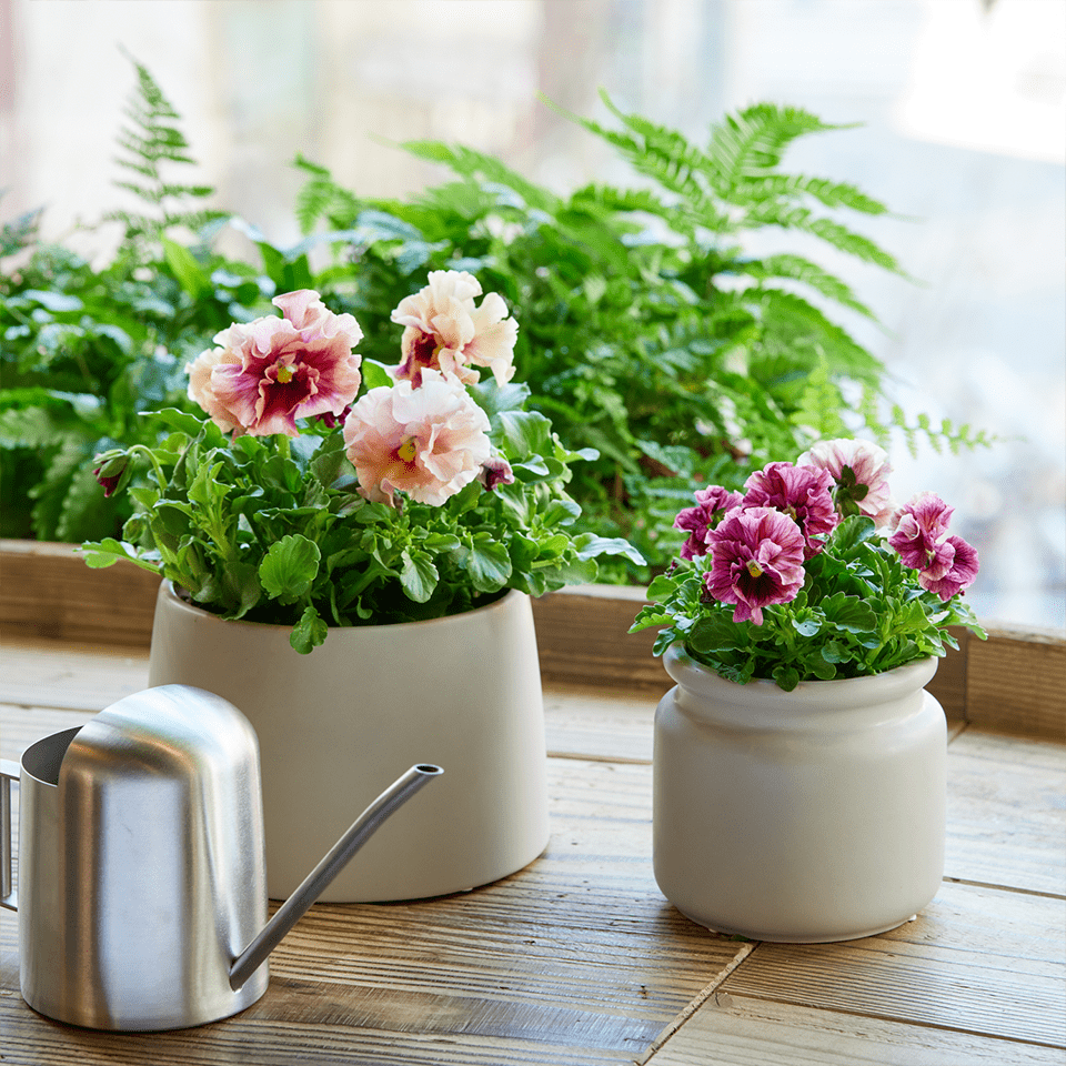 アートフラワー鉢花とフィギュア 季節のお花寄せ植え(ガーデン風)おまかせ動物フィギュア付き | 福岡県