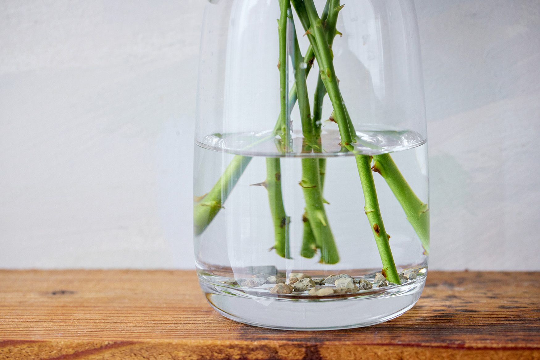 【バルト様確認用】P.elsa OC子株 P.elsa OC 子株