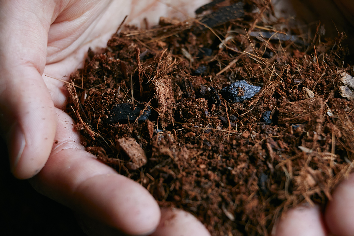 地球にやさしい土「parkERs soil（パーカーズソイル）」 | 青山