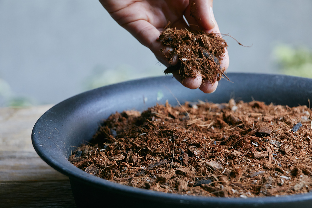 地球にやさしい土「parkERs soil（パーカーズソイル）」 | 青山