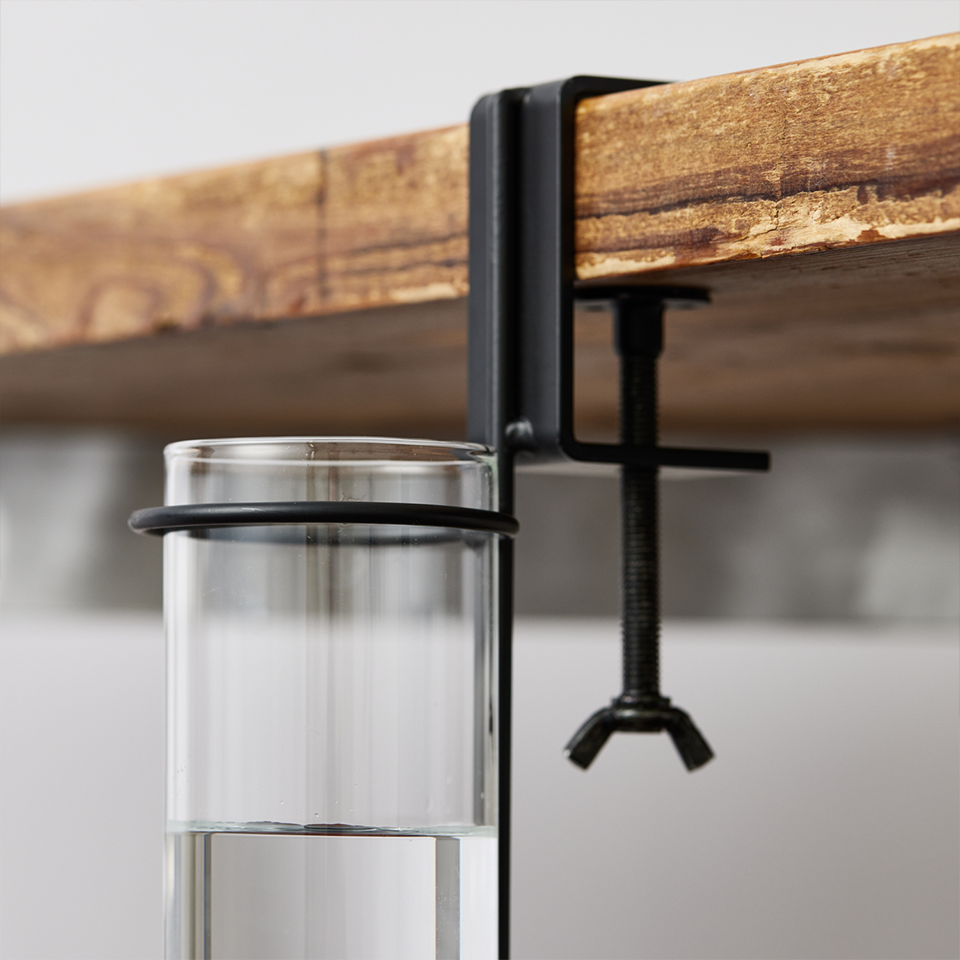 枝を気軽に楽しめる専用ベース「EDA VASE」 | 青山フラワー
