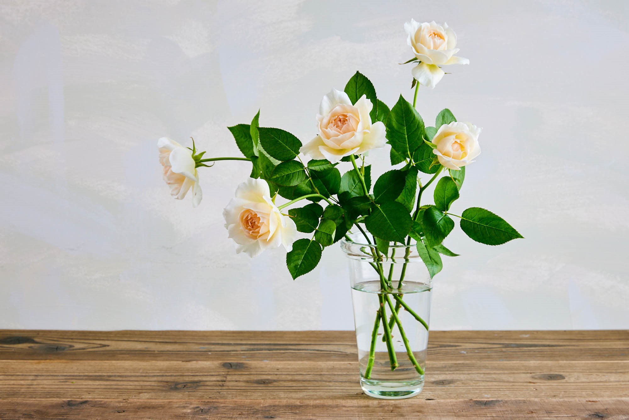自然のままに咲き進む姿と芳しい香りが楽しめる 青山フラワーマーケットのオリジナルローズ Number5 が誕生 青山フラワーマーケット公式 花屋 花 花束 フラワーギフト 通販