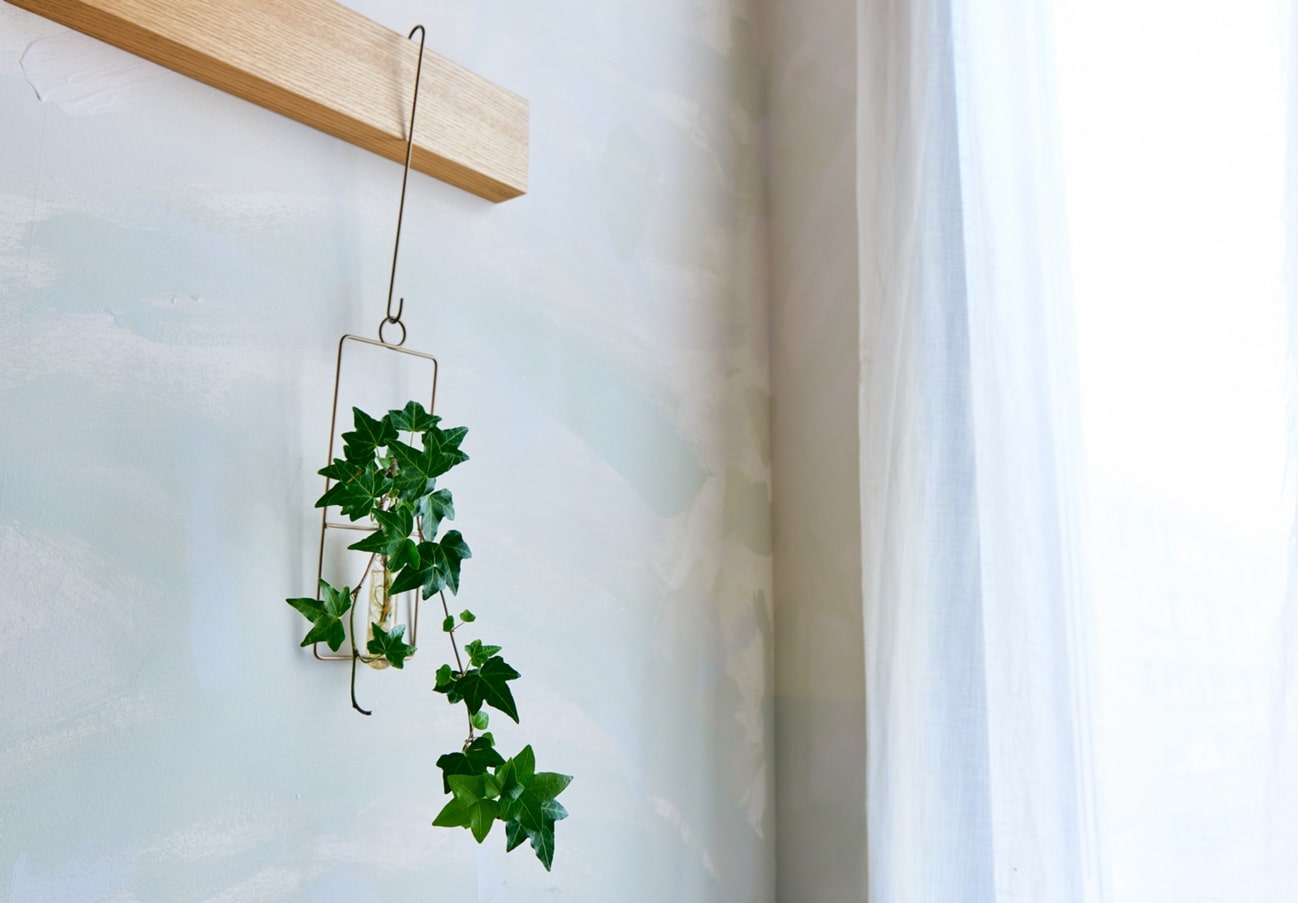 手狭なスペースにぴったり！壁掛けタイプのフラワーベース、家の中の