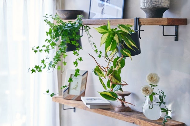 浴びるようにグリーンを楽しめる「SHIDARE」 | 青山フラワーマーケット