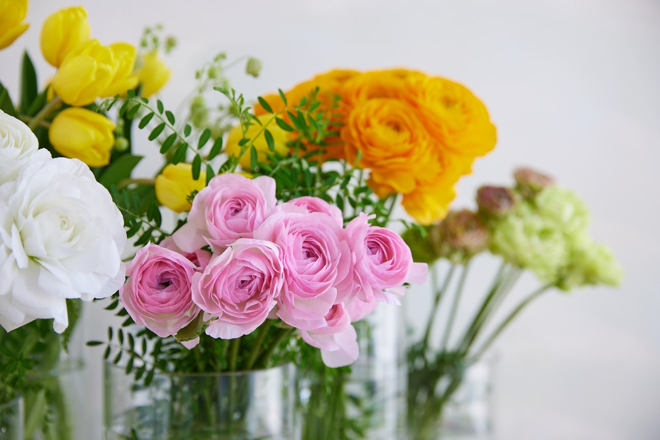 旬の花定期便」で見つけた！フローリストのこだわり3つのポイント