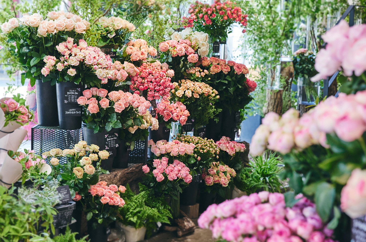 青山フラワーマーケット　香水　LILY & ROSE 2点セット 芳醇な植物の香りに包まれるーー青山フラワーマーケットの新作