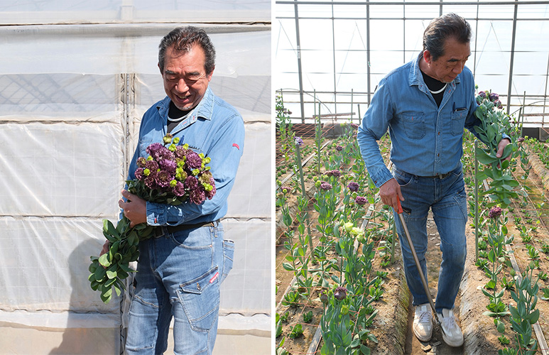 青山フラワーマーケット オリジナル品種のリシアンサス『深紫(こき