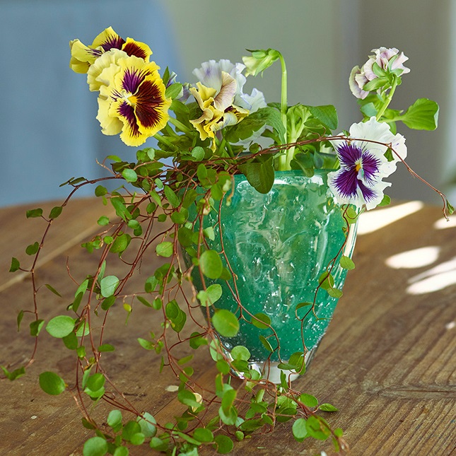 コラム One Flower One Green パンジー 青山フラワーマーケット公式 花屋 花 花束 フラワーギフト 通販